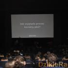 zdjęcie nr 12