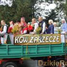 zdjęcie nr 267