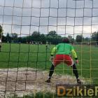 zdjęcie nr 12