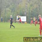 zdjęcie nr 19
