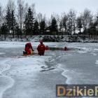 Fotka nr 1 z 7
