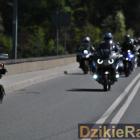 zdjęcie nr 52