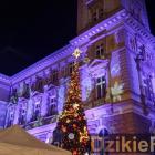 zdjęcie nr 75