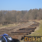 zdjęcie nr 9
