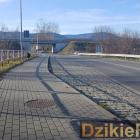 Fot: DzikieRadio®