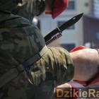 zdjęcie nr 111
