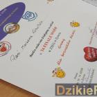 zdjęcie nr 8