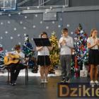 zdjęcie nr 276