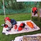 zdjęcie nr 180