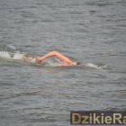 zdjęcie nr 10