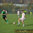 zdjęcie nr 111