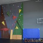 zdjęcie nr 47