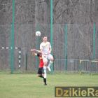 zdjęcie nr 113