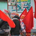zdjęcie nr 7