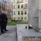zdjęcie nr 11