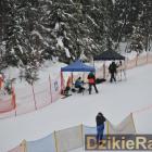 zdjęcie nr 179