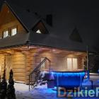 zdjęcie nr 12