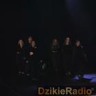 zdjęcie nr 10
