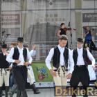zdjęcie nr 251