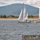 zdjęcie nr 274
