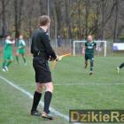 zdjęcie nr 14