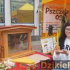 zdjęcie nr 80