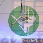 zdjęcie nr 12