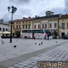 zdjęcie nr 8
