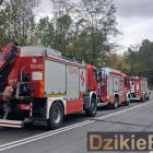 Fotka nr 1 z 5