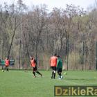 zdjęcie nr 8