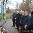 zdjęcie nr 13