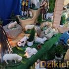 zdjęcie nr 20