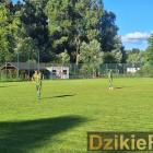 Fotka nr 0 z 41