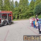zdjęcie nr 16