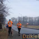 zdjęcie nr 131