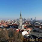Fot. OPG Węgierska Górka 