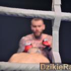 zdjęcie nr 268