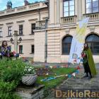 zdjęcie nr 98