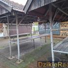 Fot: DzikieRadio®