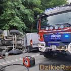 Fotka nr 2 z 9