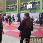 zdjęcie nr 110