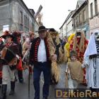 zdjęcie nr 124