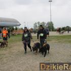 zdjęcie nr 39