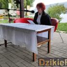 zdjęcie nr 50