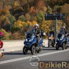 zdjęcie nr 250