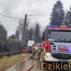 zdjęcie nr 12