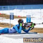 Fotka nr 5 z 14