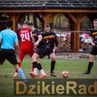 zdjęcie nr 15