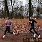 zdjęcie nr 20