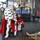 zdjęcie nr 8